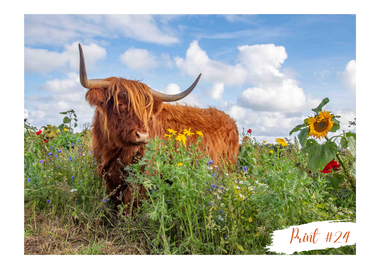 Liane Radcliffe Photography Print #24 MOUNTED