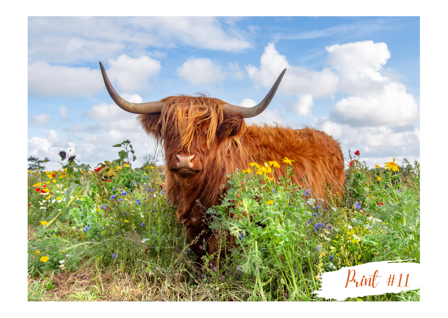 Liane Radcliffe Photography Print #11 MOUNTED