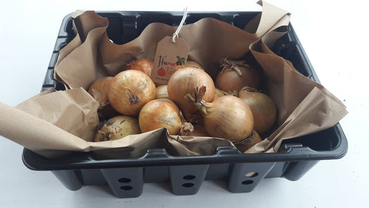 22nd December Christmas Click and Collect Onions